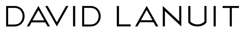 David Lanuit logo